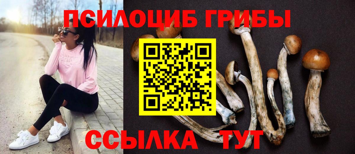 Псилоцибиновые грибы мицелий Фурманов